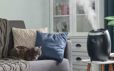 Using A Pheromone Product Correctly