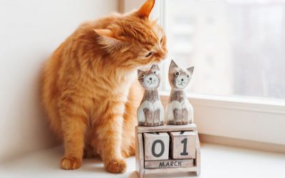 Pheromone Products: What To Expect