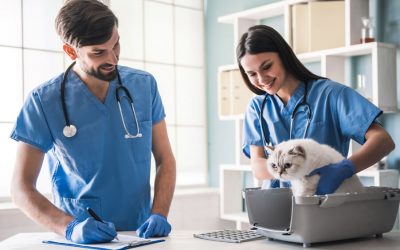Pet Insurance: Right Move To Purchase?