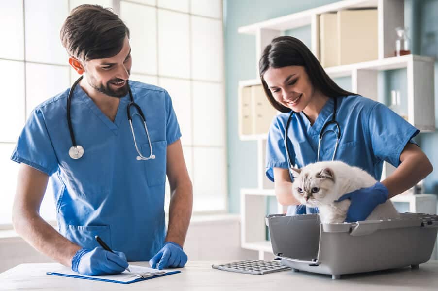 Pet Insurance: Right Move To Purchase?