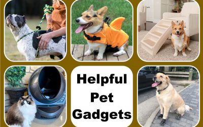 Gadgets Pet Parents Will Love – Part 4