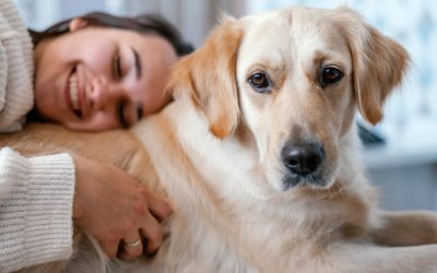 Emotional Support Animals-What You Need to Know