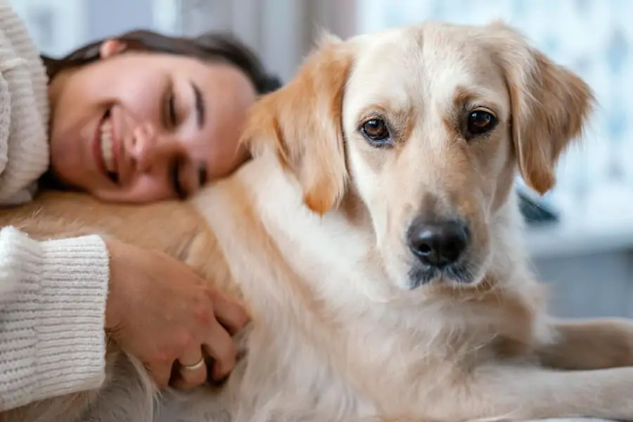 Emotional Support Animals-What You Need to Know