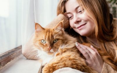 Emotional Support Animals-How They Help Their Owners