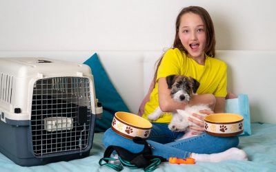 Moving with Pets during the COVID-19