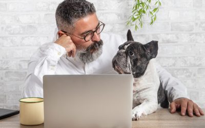 Benefits of Online Vet Services