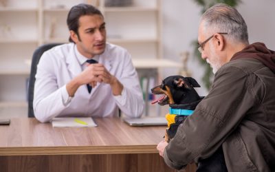 Veterinarians: Opinions on Spaying/Neutering