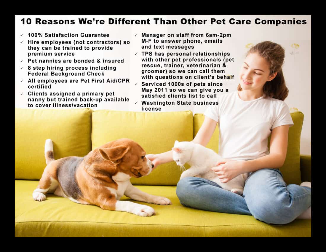 10 Reasons Tailored Pet Services Is Different than Other Pet Care Companies