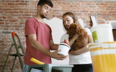 Paint: Which To Use Around Pets