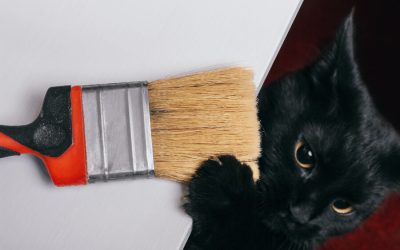 Painting: Should Pet Stay In Home?