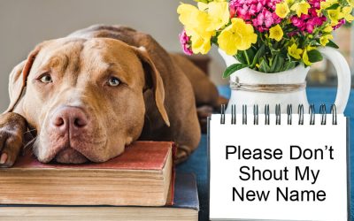 Names: Avoid while Teaching Pets’ Theirs