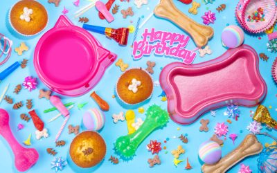 Happy 11th Anniversary