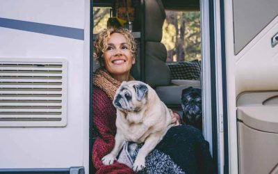 Motorhome-Preparing Pet for Road Trip