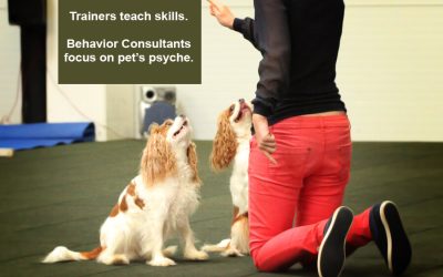 Dog Trainer versus Behavior Consultant