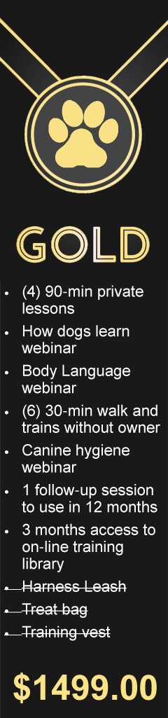 Gold Dog Training Package