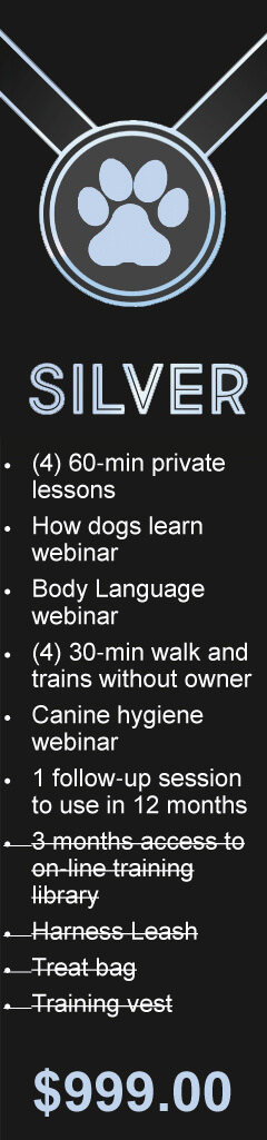 Silver Dog Training Package