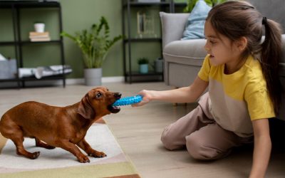 Winter Season Presents Unique Challenges