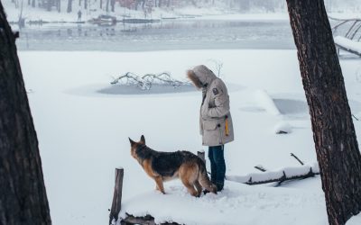 Winter Season Requires More Caution