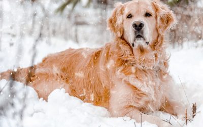 Winter Season-Biggest Threat is Hypothermia