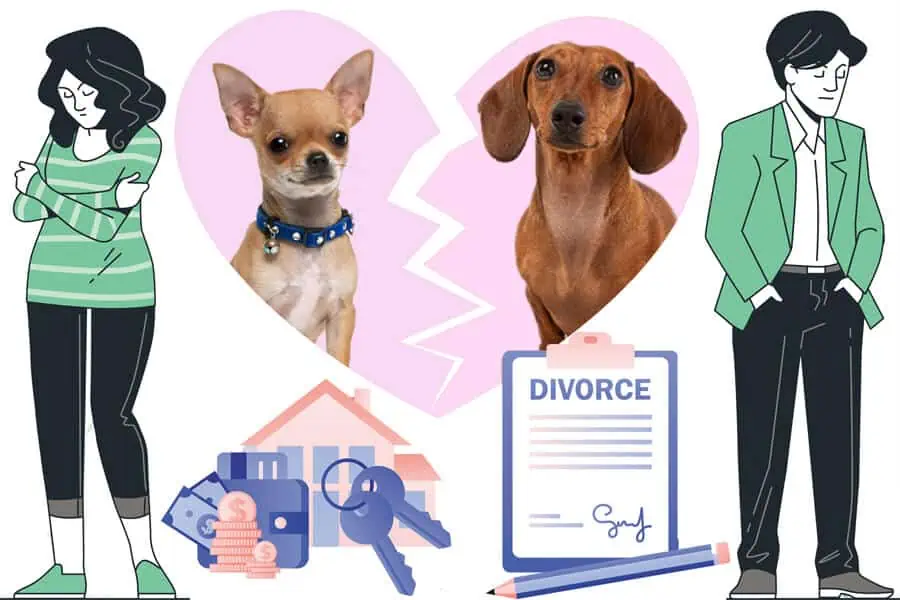 Divorced Pet Owners: Is Sharing Custody an Option