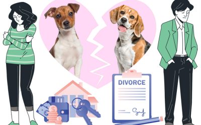 How to Settle Matters With Pet Nups Regarding Pet Ownership Following a Divorce