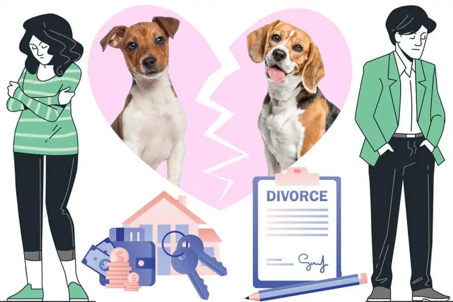 Pet Nups in Divorce
