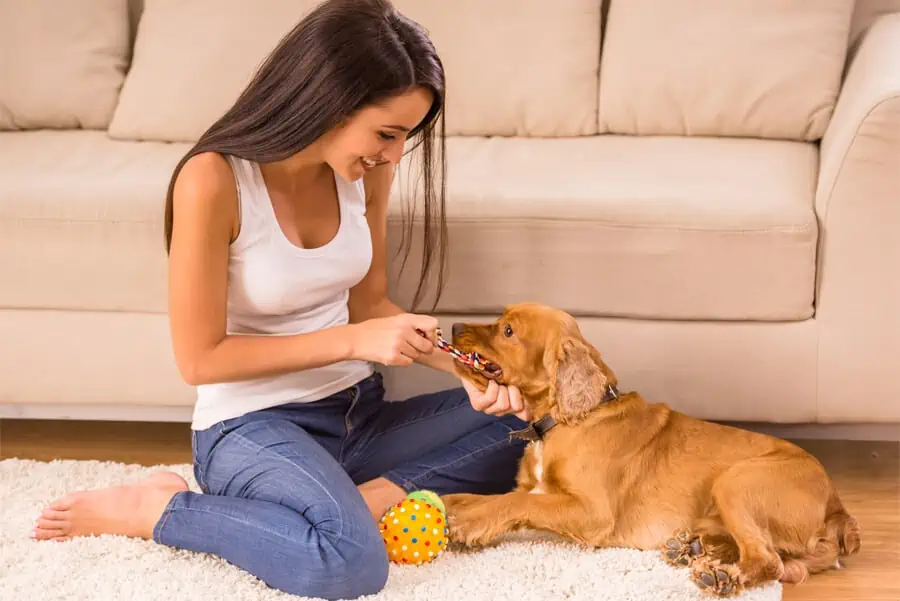 Playing Habits: Creating Good Ones with Your Puppy