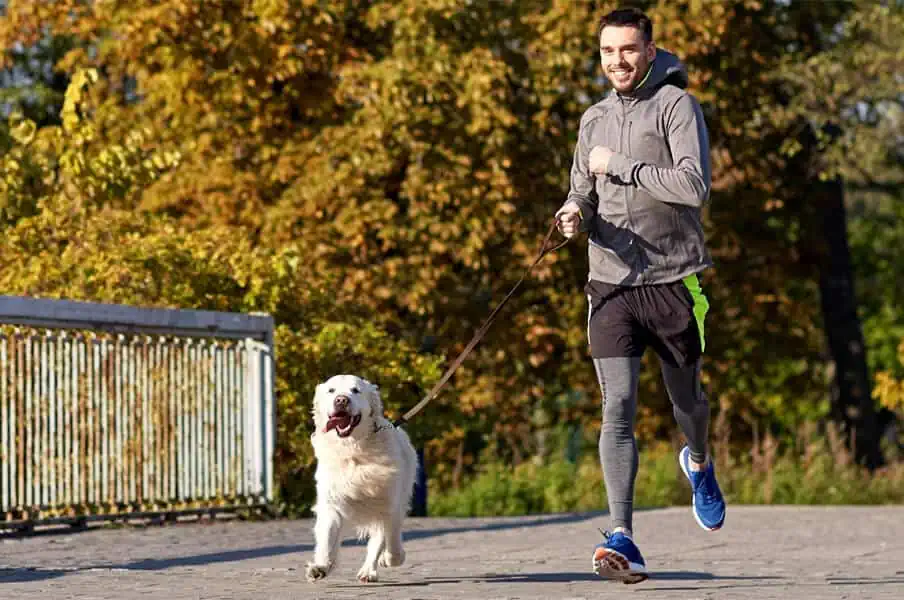 Autumn Training Sessions: How to Get the Most Out of Them?