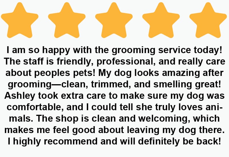 5-star Google Review