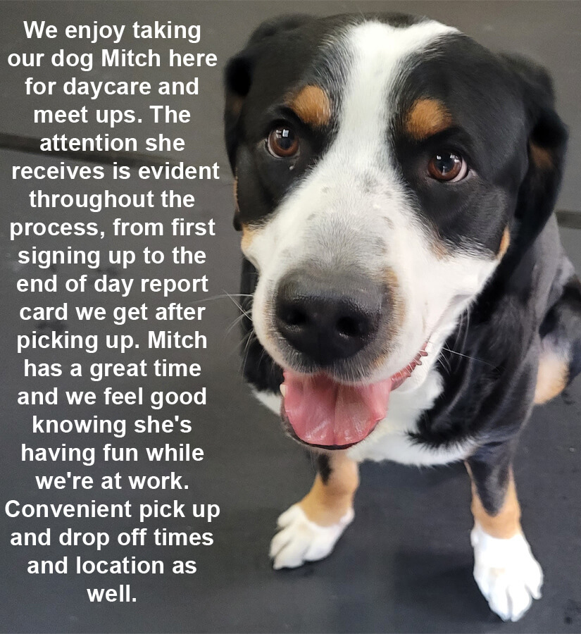 daycare review
