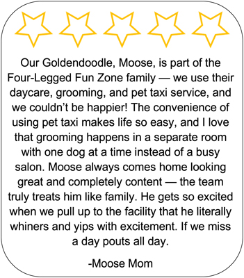 Five-star review from Moose’s mom describing her Goldendoodle’s experience with daycare, grooming, and pet taxi at Four-Legged Fun Zone in Everett, WA