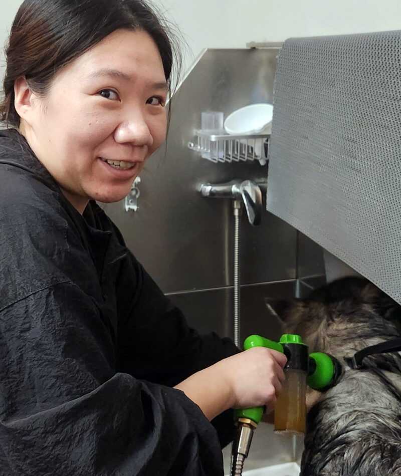 Mei, a professional dog groomer, giving a gentle bath to a dog at Four-Legged Fun Zone in Everett, WA, showcasing calm, one-on-one dog grooming care.