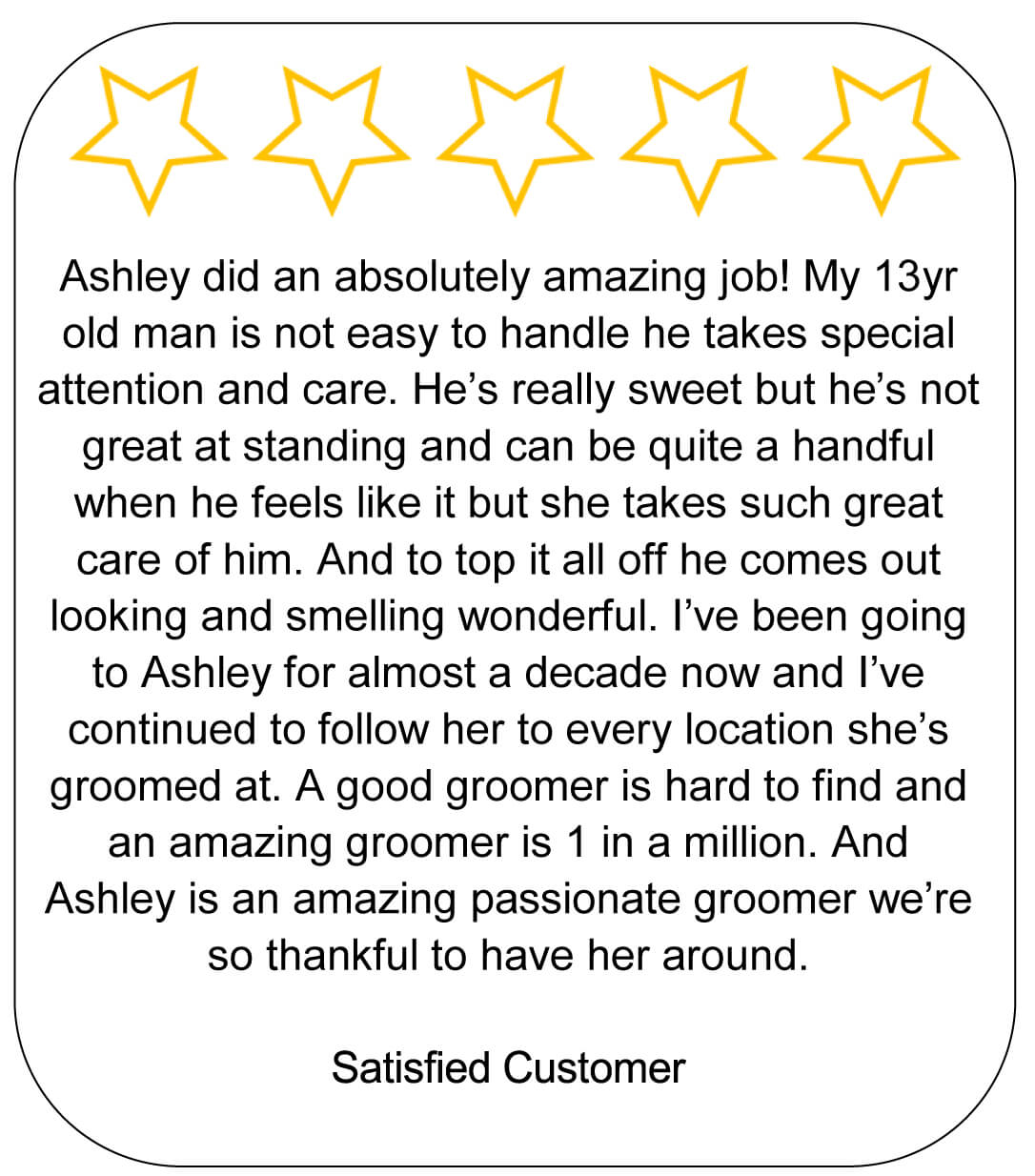 Senior dog receiving gentle, one-on-one grooming care