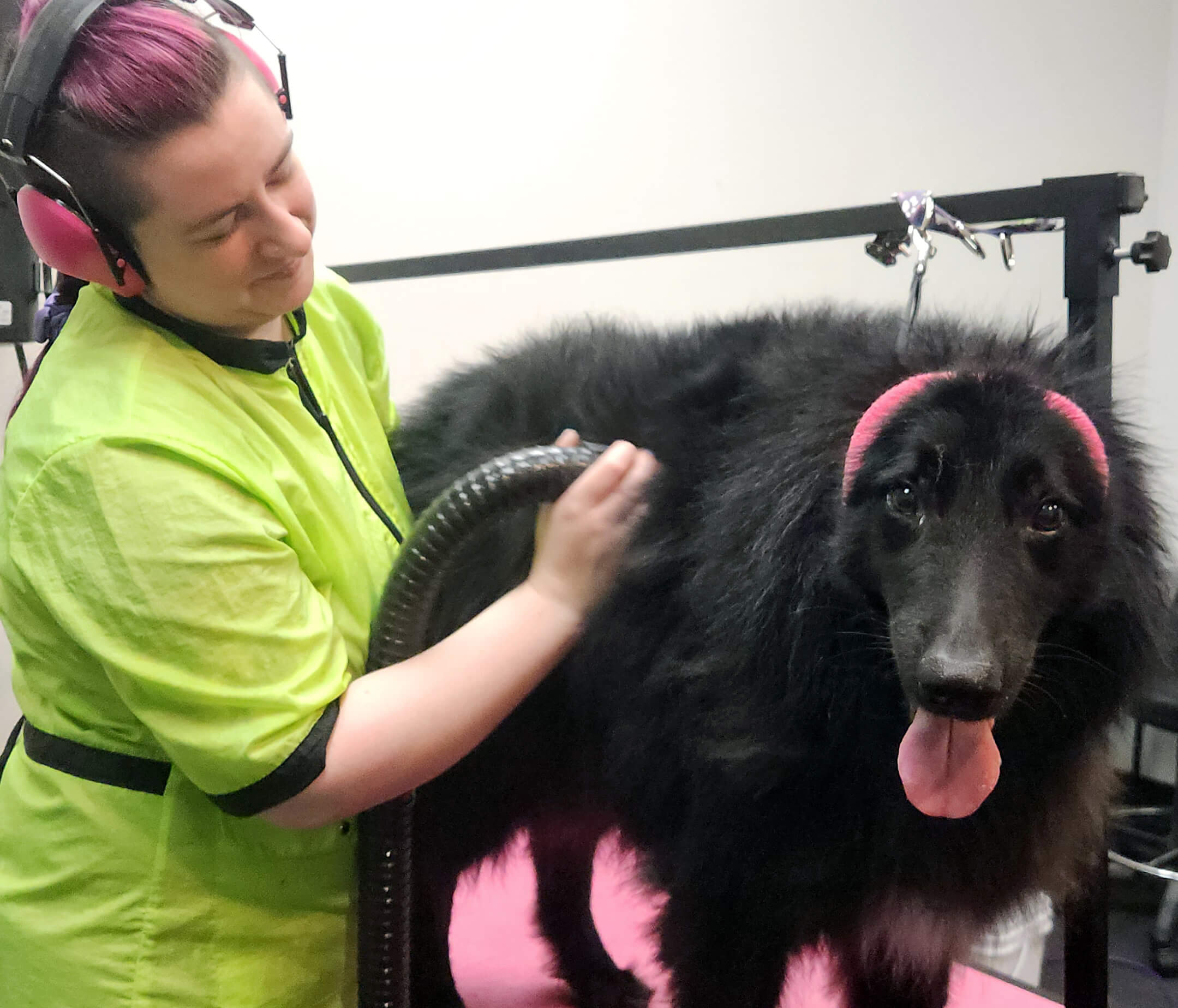 ashley drying off dog after grooming it